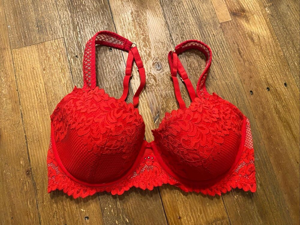 Pleasure State 34D white label red lace bra lingerie sexy